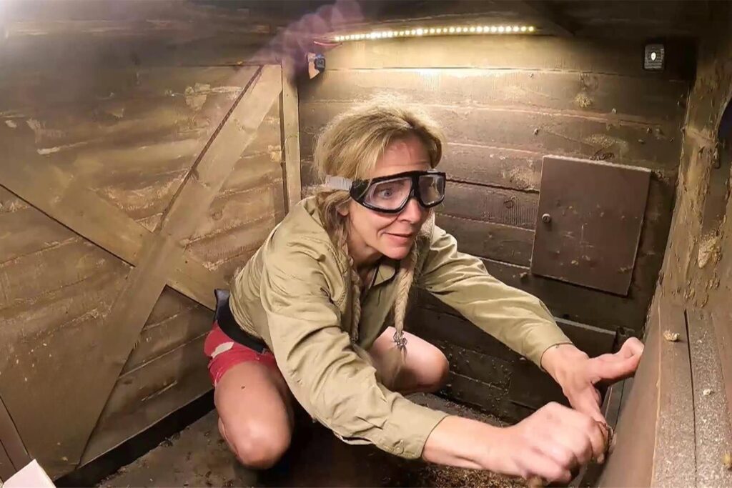 Danni Büchner bei einer Dschungelprüfung der Legenden-Staffel des Dschungelcamps. Danni Büchner bei einer Dschungelprüfung der Legenden-Staffel des Dschungelcamps.