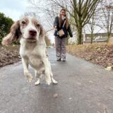 Der Hund Cooper führt seine Besitzerin Jana Schulz durch den Bornekamp.