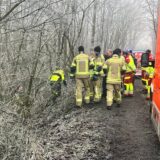 Einsatzkräfte im Wald.