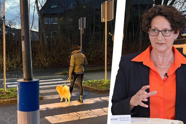 Die Bildmontage zeigt den Zebrastreifen an der Kleistraße in Unna-Massen und die Grünen-Fraktionsvorsitzende Claudia Keuchel
