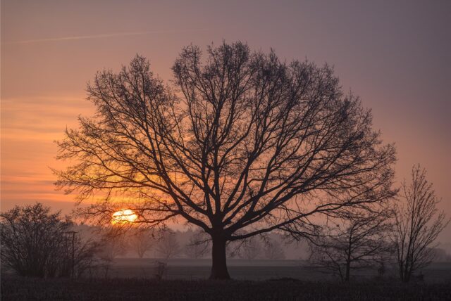 Farbenprächtig leuchtet der Morgenhimmel zum Sonnenaufgang über der Landschaft.