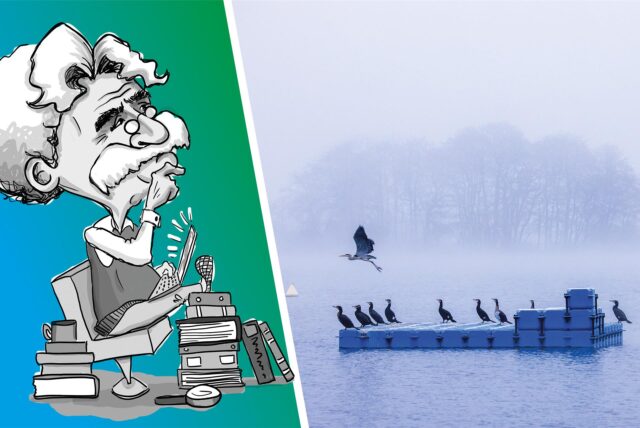 Vögel auf einem See.
