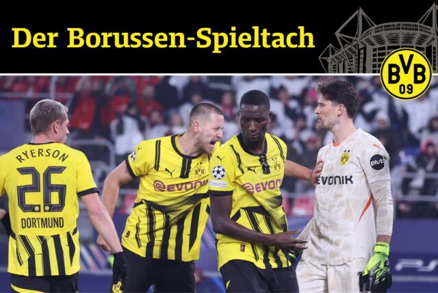 Die BVB-Spieler jubeln.
