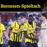 Die BVB-Spieler jubeln.