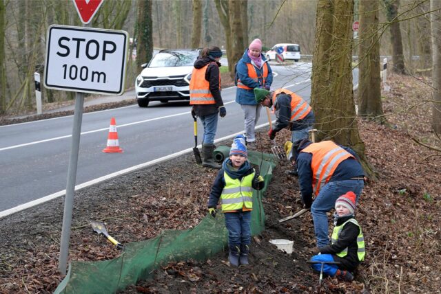 Freiwillige Helfer und Schulkinder der Waldschule Cappenberg bauen einen Zaun