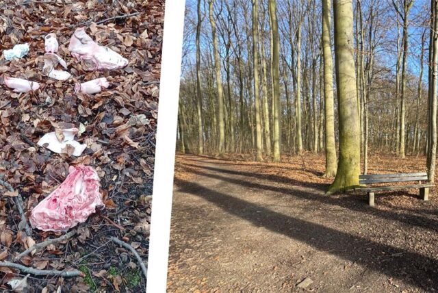 Die Bildmontage zeigt Teile eines Schweins, unter anderem ein Stück Kopf, und eine Bank in einem Wald in Unna, in deren Nähe die Kadaverstücke gefunden wurden.
