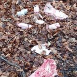 Die Bildmontage zeigt Teile eines Schweins, unter anderem ein Stück Kopf, und eine Bank in einem Wald in Unna, in deren Nähe die Kadaverstücke gefunden wurden.