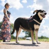 Eine Hundehalterin und ihr Hund.
