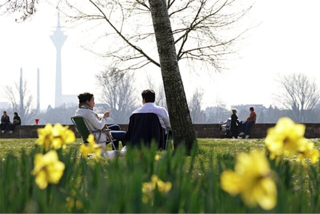 Zwei Menschen verbringen ihre Mittagspause zwischen Blumen am Rheinufer.