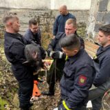 Auszubildende der Feuerwehr haben in Hagen ein junges Hausschwein aus einem Bach gerettet. Das Tier war von einem Hund gejagt worden und in den Bach gesprungen, wie die Feuerwehr mitteilt. Wegen einer steilen Uferböschung habe sich das verletzte Jungtier nicht selbst aus seiner Notlage befreien können