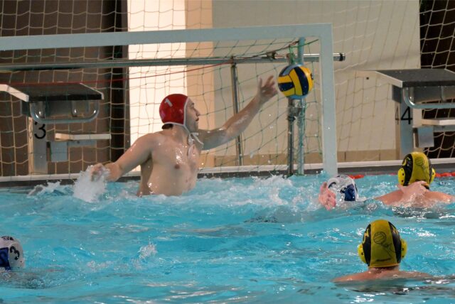 Ein Wasserball-Torwart hält den Ball.
