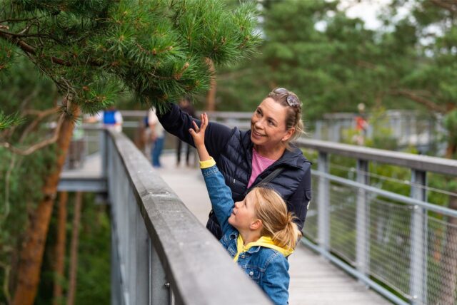 Besucher auf dem Baumwipfelpfad im Wildpark Lüneburger Heide.