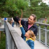 Besucher auf dem Baumwipfelpfad im Wildpark Lüneburger Heide.