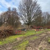 Abgesägte Bäume und abgebaute Spielgeräte liegen auf dem Spielplatz „Auf dem Hilf“ in Schwerte-Ergste. In der Wiese sind Spuren großer Baufahrzeuge zu sehen.