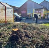 Ein Baumstumpf ist im Vordergrund zu sehen, rechts daneben das Einkaufswagenhäuschen, im Hintergrund der Rewe.