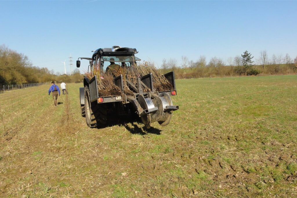 Ein Traktor auf einer Freifläche. Er transportiert kleine Bäume. Ein Traktor auf einer Freifläche. Er transportiert kleine Bäume.