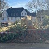 Gefällt Platane auf einem Gartengrundstück hinter Flatterband an der Marschallstraße.