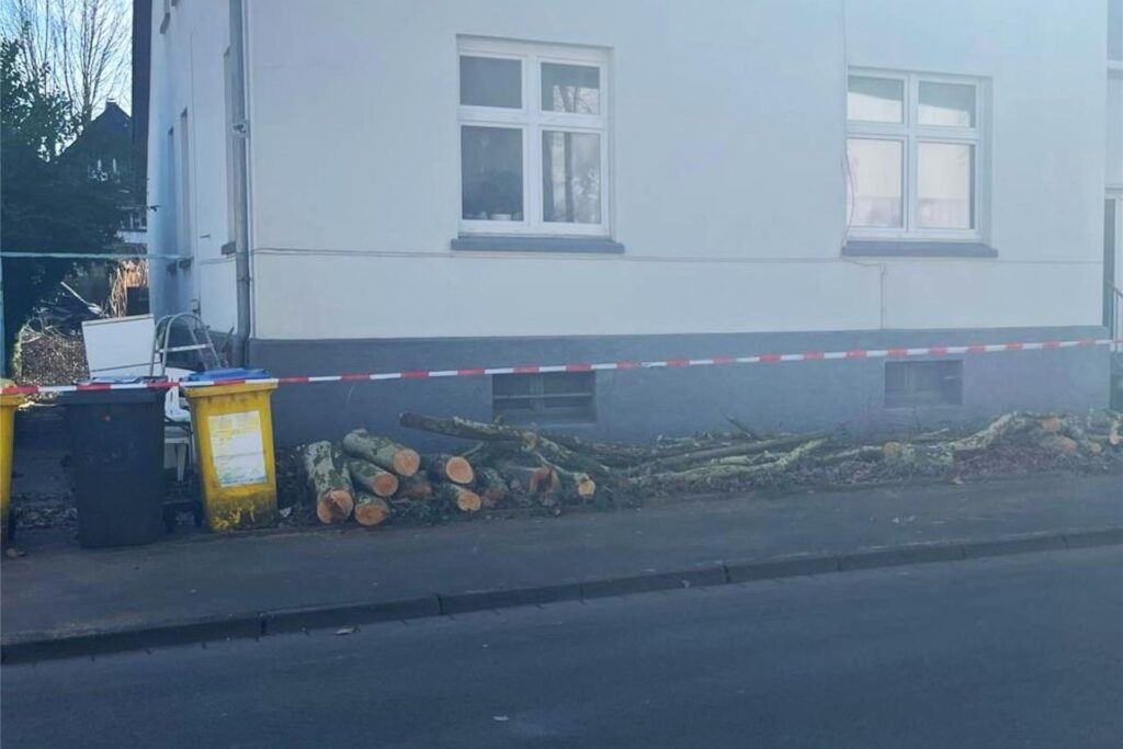 Holzäste vor dem Haus in der Marschallstraße. Holzäste vor dem Haus in der Marschallstraße.