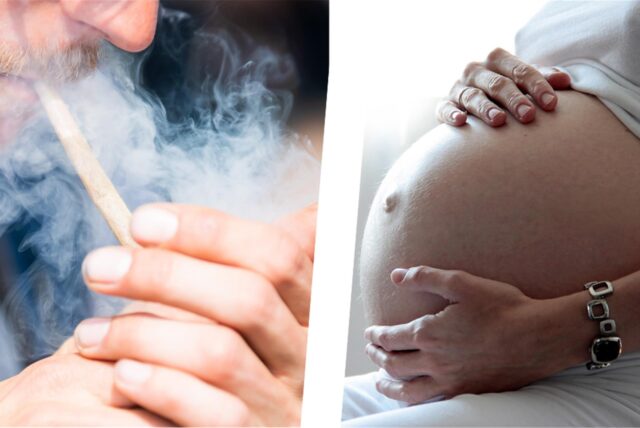 Eine Fotomontage, links im Bild raucht ein Mann einen Joint, rechts im Bild ist der Bauch einer Schwangeren