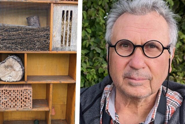 Montage; rechts Thomas Griesohn-Pflieger, links zwei Bilder von falschen Insektenhotels
