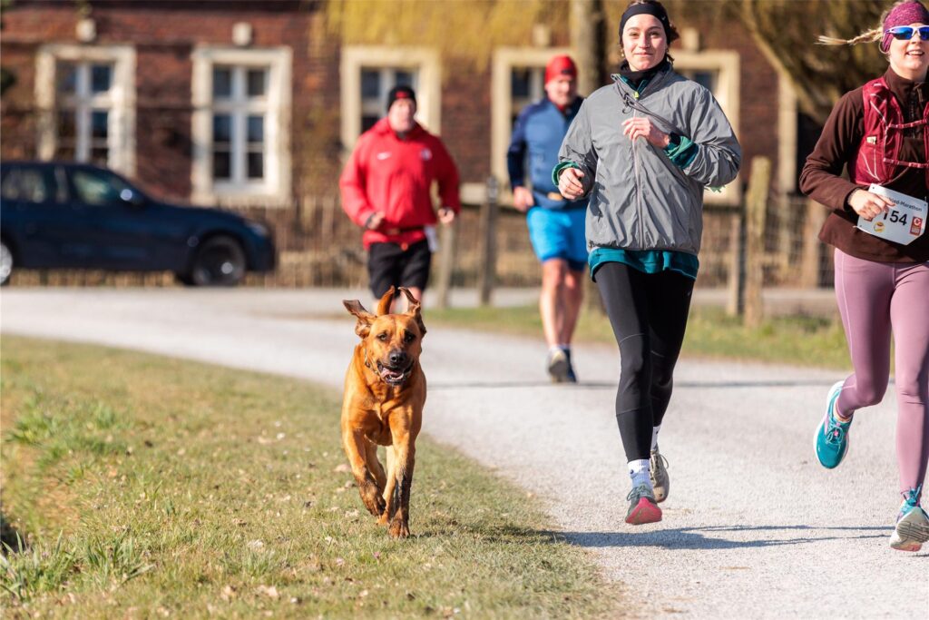Eindrücke vom vierten Gottfried-Marathon in Cappenberg