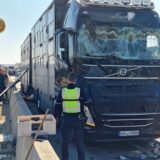 Nach einem Unfall mit einem Viehtransporter auf der A1 bei Unna am 19.3. steht der Lastwagen mit zertrümmerter Frontscheibe auf der Autobahn. Davor stehen Polizisten.