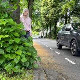 Anwohnerin Danja Abel demonstriert, wie leicht am Kessebürener Weg ein Mensch zwischen Bäumen und geparkten Autos optisch verschwindet.