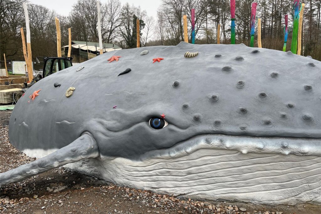 Ein Wal aus Beton liegt in der neuen Wasserlandschaft vom Ketteler Hof. Ein Wal aus Beton liegt in der neuen Wasserlandschaft vom Ketteler Hof.