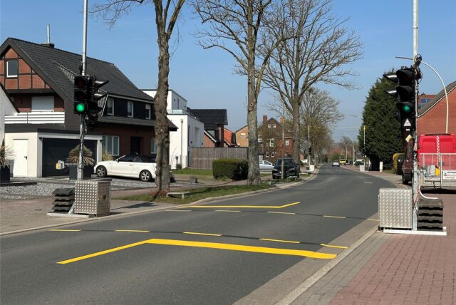 Ampel und Straße mit Bäumen am Rand