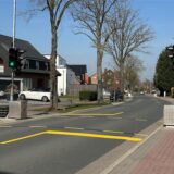 Ampel und Straße mit Bäumen am Rand