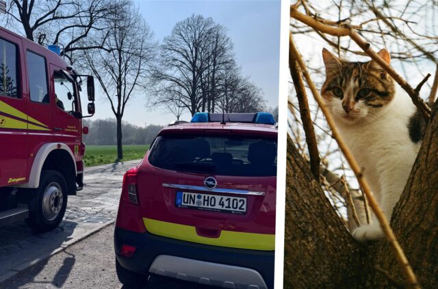 Die Feuerwehr Holzwickede nach dem Tierrettungseinsatz.