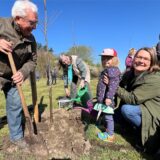 Peter Schäfer pflanzt gemeinsam mit seiner Familie im Bergkamener Jubiläumswald eine Ulme ein.