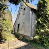 Ein verlassenes Haus, das von einer großen Hecke umgeben ist.