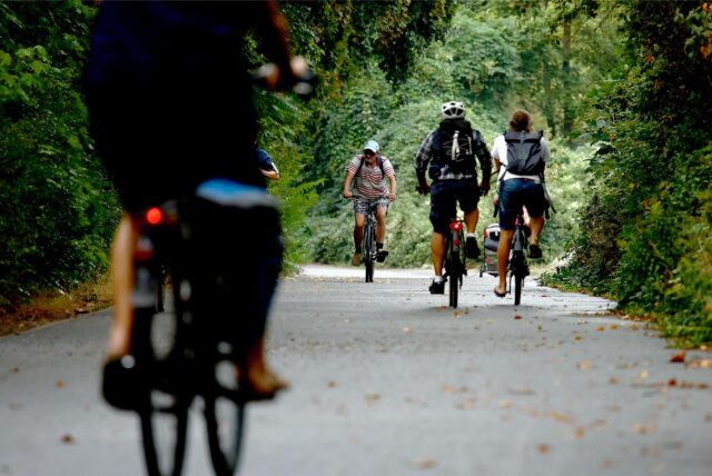 Fahrradfahrer fahren unter Bäumen auf einem Radweg.