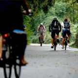 Fahrradfahrer fahren unter Bäumen auf einem Radweg.