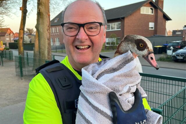 Polizist aus Werne trägt eine Gans auf dem Arm