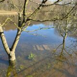 Auch Ilias Abawi, Sprecher von Emschergenossenschaft und Lippeverband, äußert sich zur Problematik um den Wickeder Waldsee.
