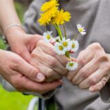 Nahaufnahme von Händen einer jungen Frau sowie einer alten Frau, die Gänseblümchen und Löwenzahn festhält