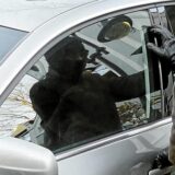 Ein maskierter Täter steht vor einem Auto und ist im Begriff sich Zugang zu verschaffen.