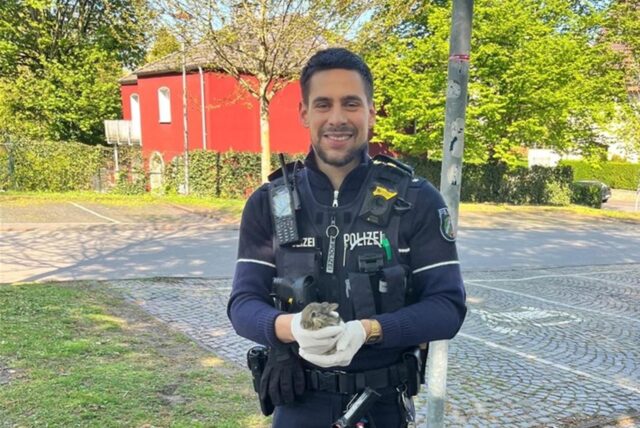 Ein Bochumer Polizist hält ein verletztes Kaninchenbaby in den Händen.
