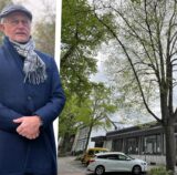 Jürgen Willutzki (FDP) in einer Montage mit der Linde an der Allee 4.