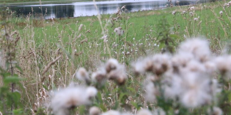 Der Pleckenbrinksee. An einer rustikal überdachten Schautafel kann man sich über das relativ junge Bergsenkungsgewässer, das im Herbst 2007 entstanden ist, informieren.
