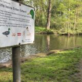 Am Wochenende war in diesem Teich im Bocholter Stadtwald ein Toter entdeckt worden.