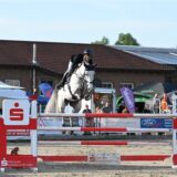 Ein Reiter springt mit seinem Pferd über einen Sprung.