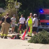 Der umgestürzte Maibaum liegt auf dem Boden. Krankenwagen steht im Hintergrund und Einsatzpersonal läuft herum.