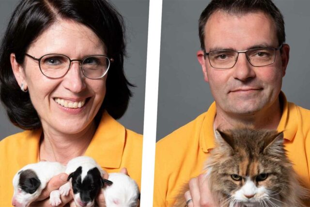 Collage: Dr. Carola Möhrke und Dr. Hauke Rösch halten Hundewelpen und eine Katze auf dem Arm.