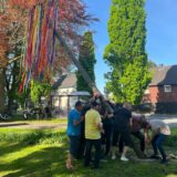 Zahlreiche Helfer packen mit an, als der Maibaum in die Senkrechte gehievt wird.
