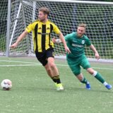 Fußballspieler spielen den Ball.