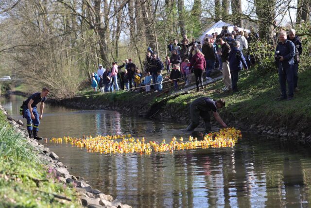 Gummienten auf der Horne