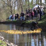 Gummienten auf der Horne